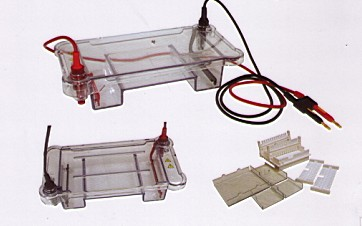 上海精其多功能水平電泳槽HE128